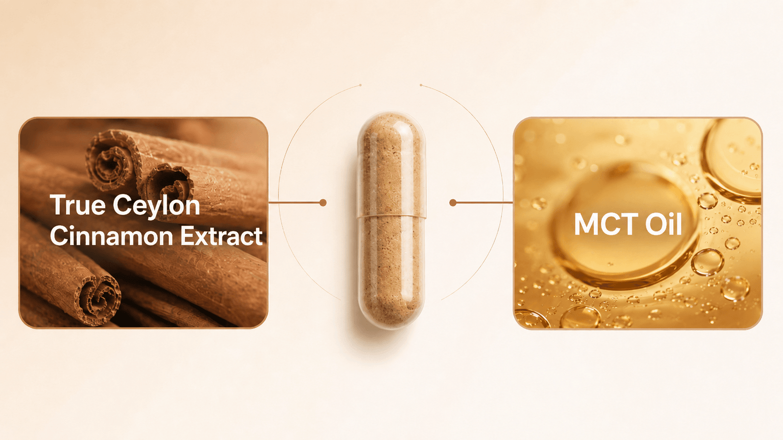 CinnaShield supplement facts and ingredient panel